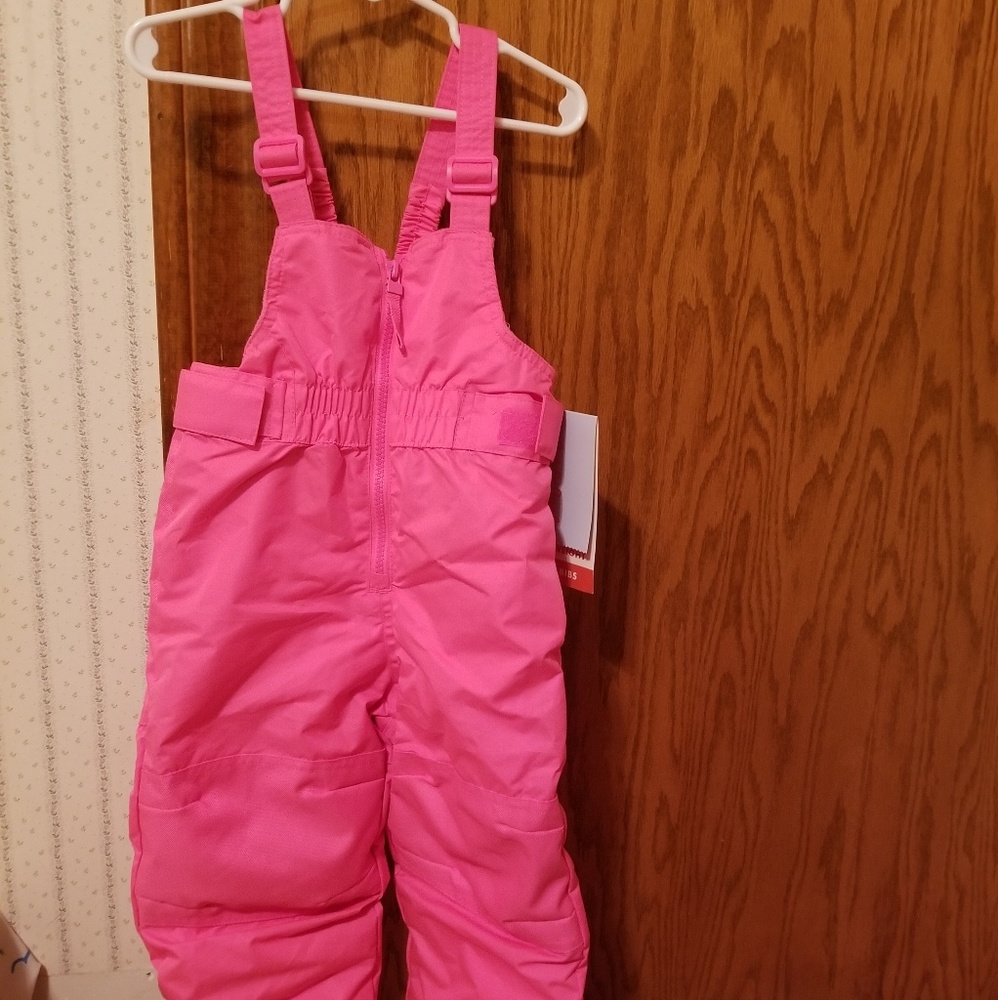 Nwt Cat and Jack snow pants girls 2T